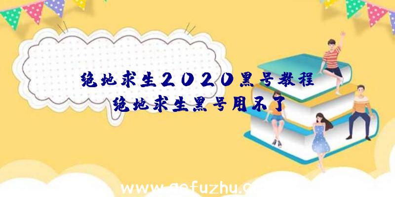 「绝地求生2020黑号教程」|绝地求生黑号用不了